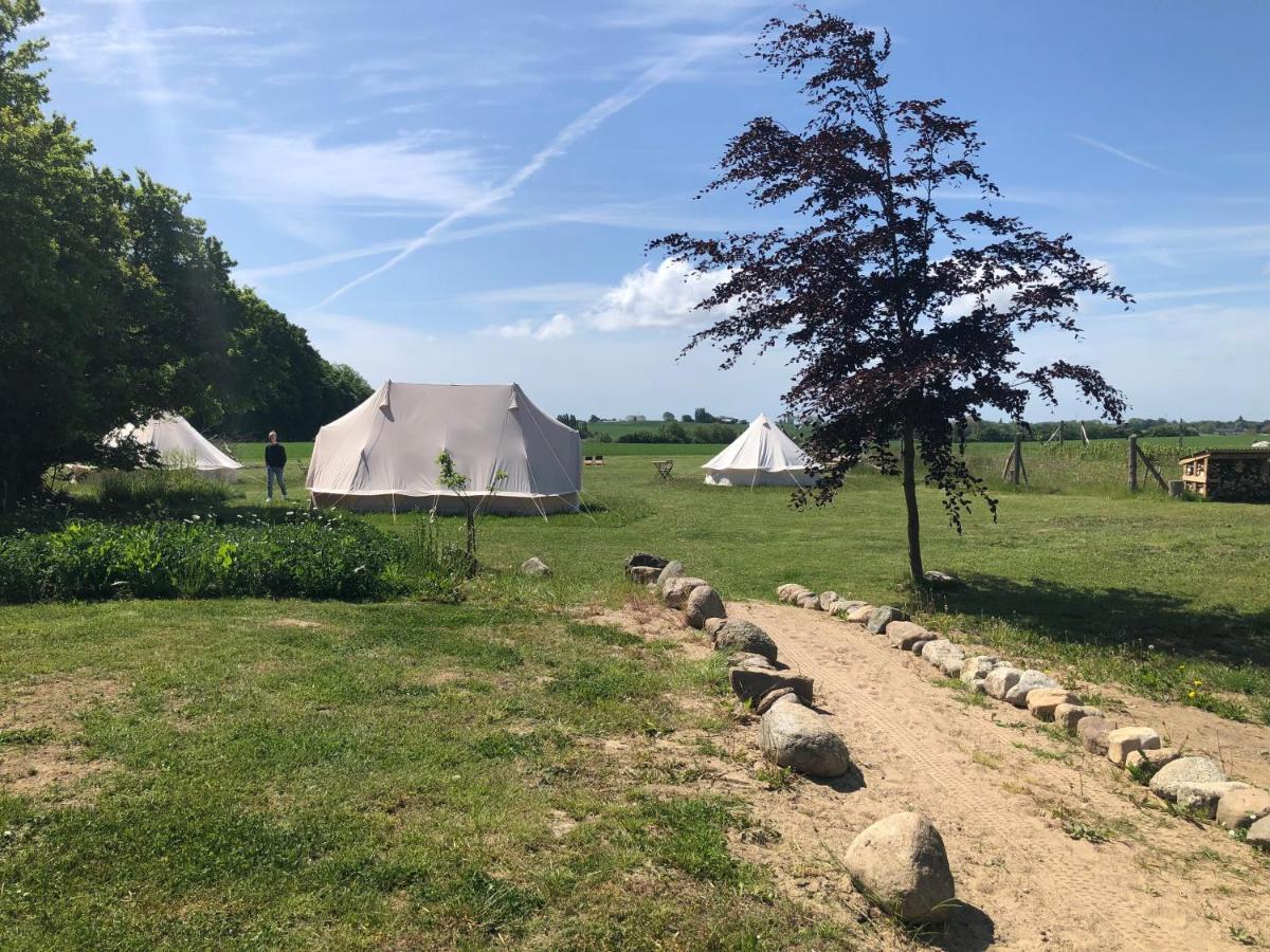 Helles Have Glamping Hotell Stege Exteriör bild