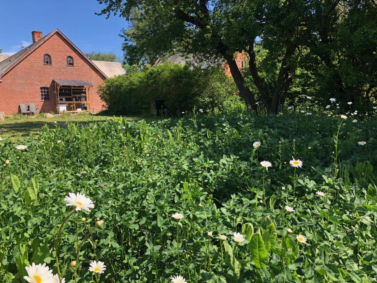 Helles Have Glamping Hotell Stege Exteriör bild