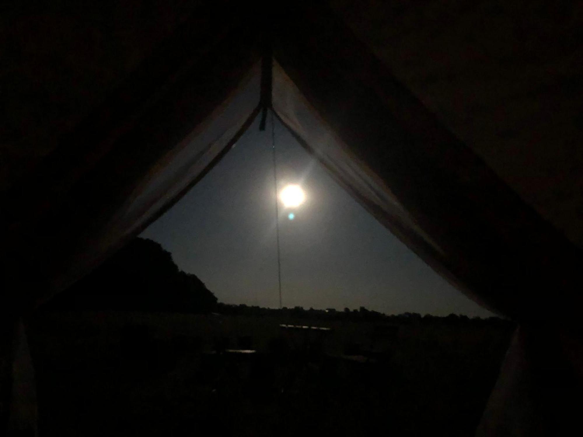 Helles Have Glamping Hotell Stege Exteriör bild