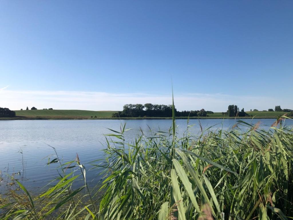 Helles Have Glamping Hotell Stege Exteriör bild