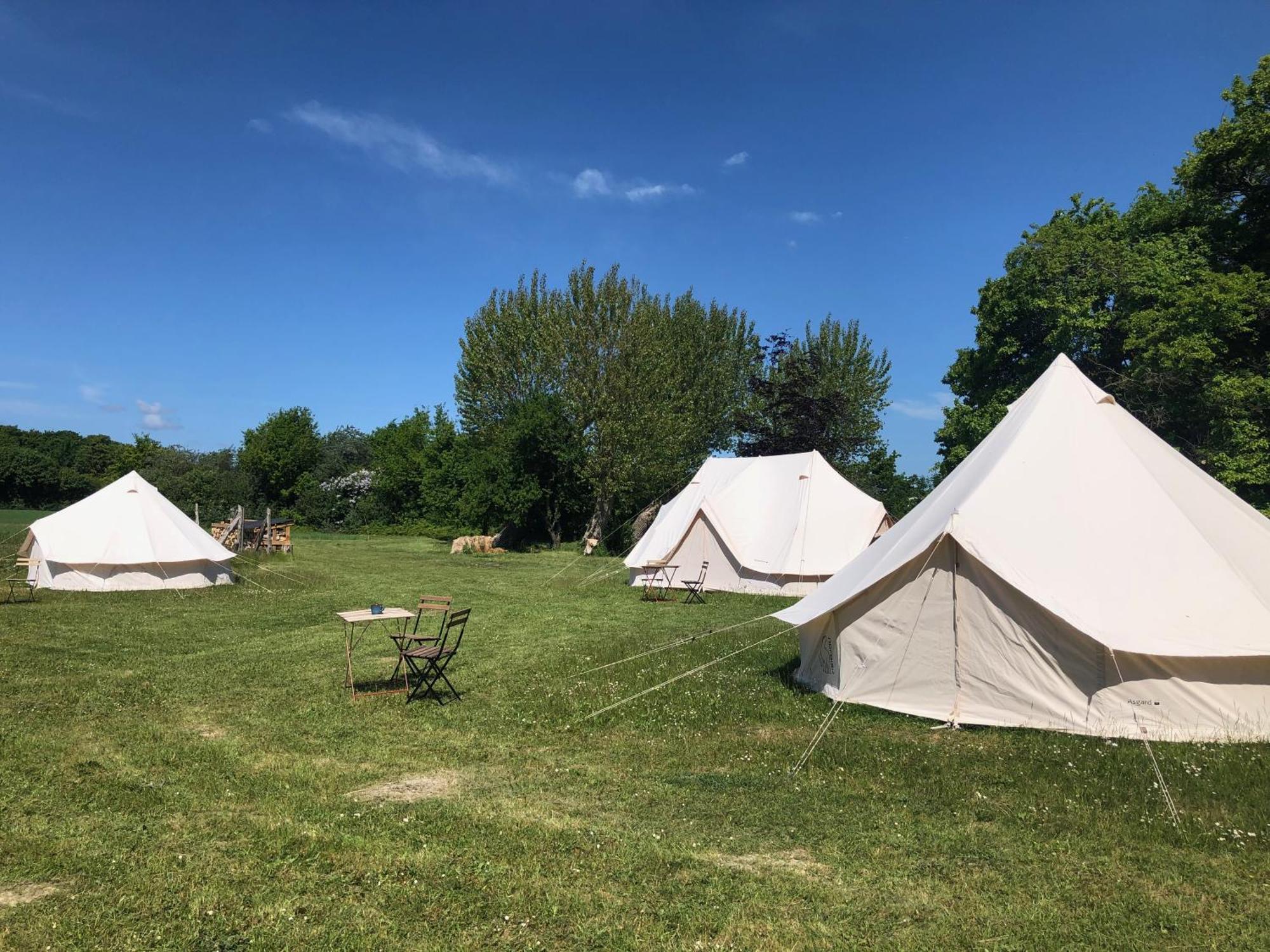 Helles Have Glamping Hotell Stege Exteriör bild